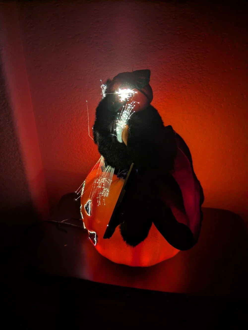 Vintage Halloween Fiber Optic Black Cat In Pumpkin Hat Cape in Pumpkin 12